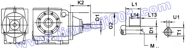JRTS斜齒輪——蝸輪蝸桿減速電機(jī)