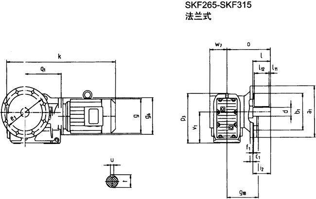 SK系列斜齒輪—蝸旋傘齒輪減速電機(jī)