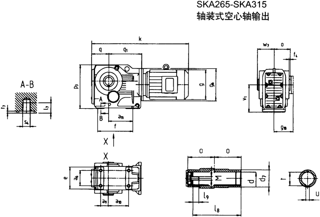 SK系列斜齒輪—蝸旋傘齒輪減速電機(jī)
