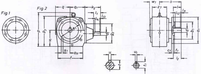 SW斜齒輪—蝸輪蝸桿減速電機(jī)