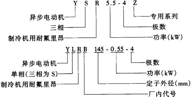 YSR-Z系列制冷機(jī)用耐氟三相異步電動(dòng)機(jī)結(jié)構(gòu)簡(jiǎn)介及特點(diǎn)